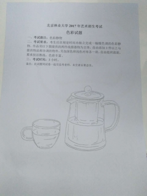 1486371677546199.jpg 2017年北京林业大学美术专业校考色彩考题(北京考点).jpg
