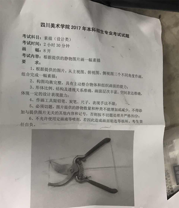 1486453360783271.jpg 2017年四川美术学院设计专业素描校考考题(重庆考点).jpg