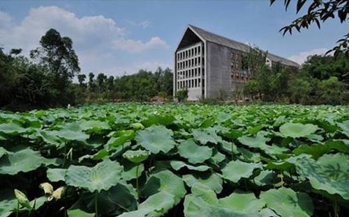 1497167907844929.jpg 四川美术学院.jpg