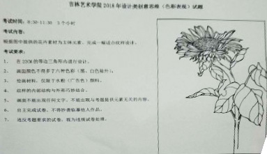 1516288551860990.jpg 2018年吉林艺术学院设计类校考创意思维考题(省内考点).jpg